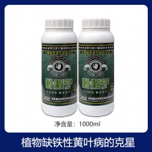 叶绿宁