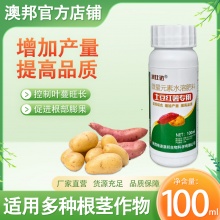 块根块茎专用肥