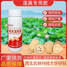 块根块茎专用肥